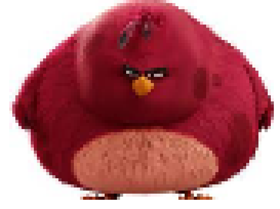 [42ecf8] lets go the BIGGEST BIRD!