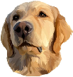 [dfdafc] Dog_40