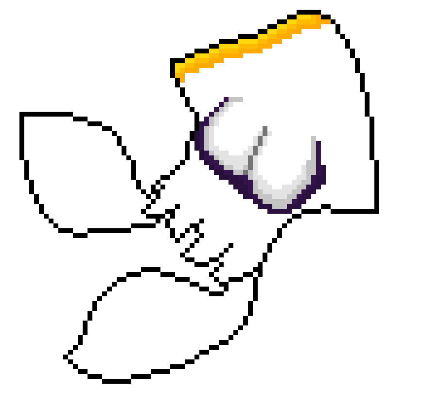 Sqiud