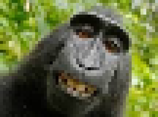 [172196] monkey pixel