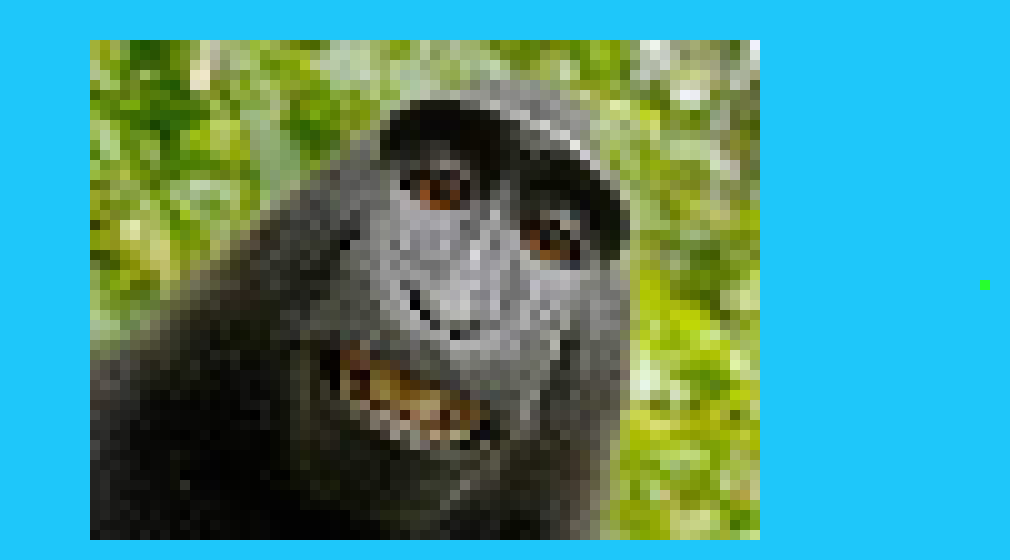 [7bf0e5] MONKEY