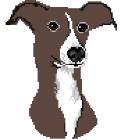 [bb0905] Greyhound