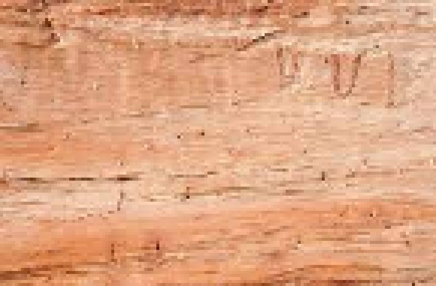 [4f0ae9] wood