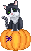 [dfdafc] halloween_2023_44
