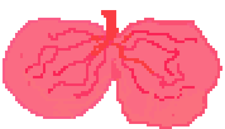 [401978] pixel lungs