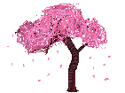 [40c7b2] The Lonely Cherry Blossom
