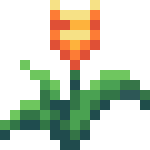 [bbafc9] TulipFlower1
