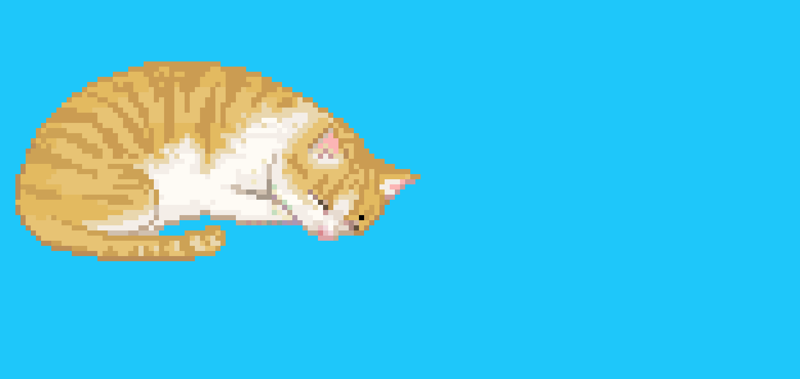 [49885a] My Cat