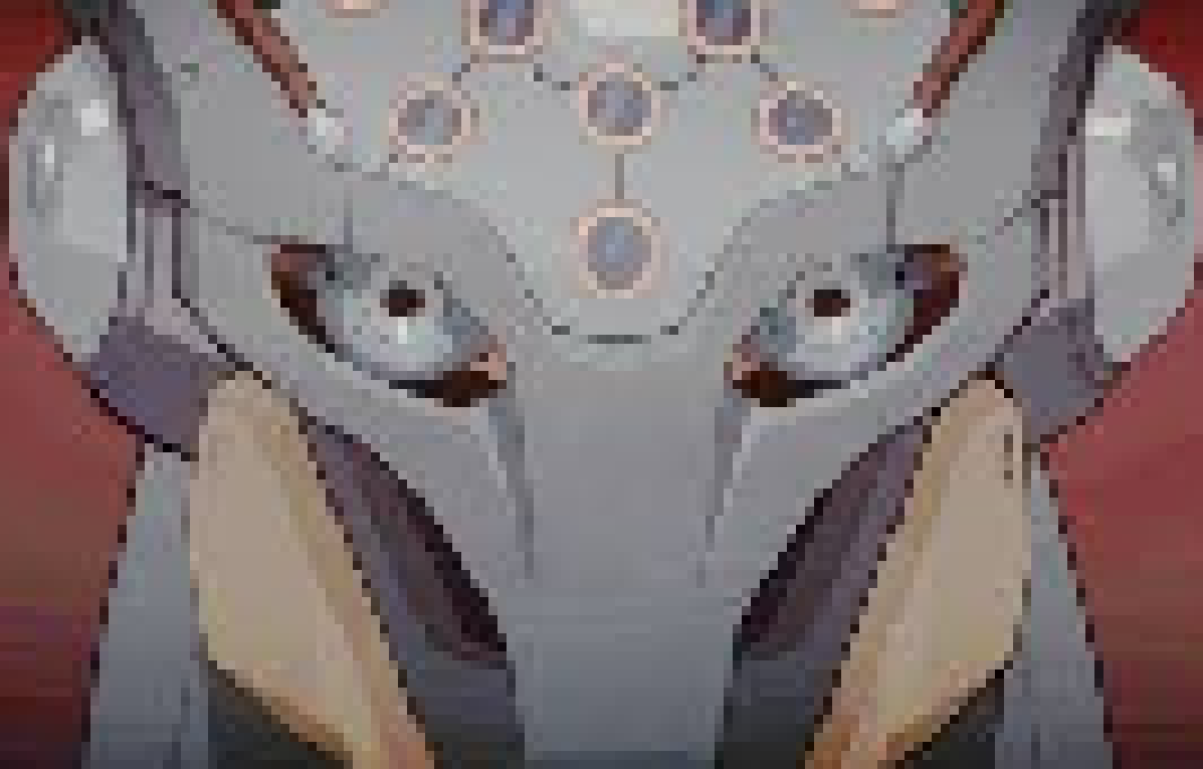[236914] just put them back on 🧠