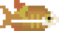 [811e96] fish6