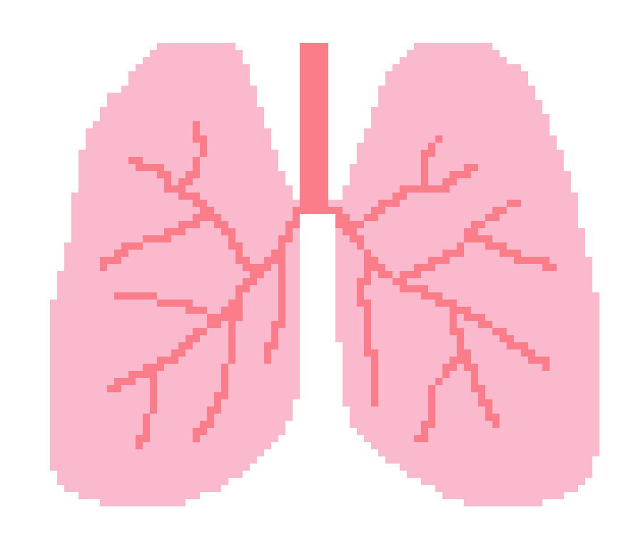 [401978] pixel lung
