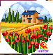 [f15231] nature_flower_field_1