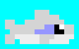 No -Pams Great White Shark