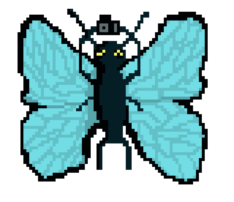 [ccc807] butterfly1