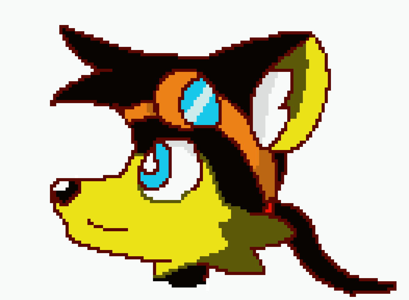 [9664c4] Star the Raccoon