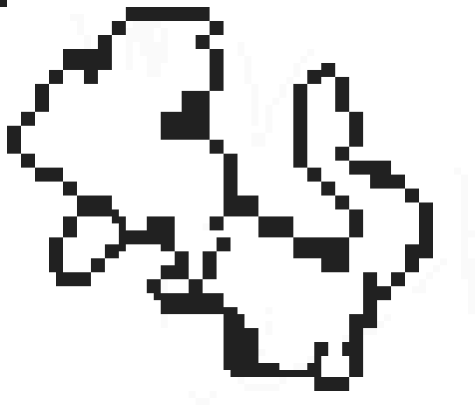 [0e7471] Black and white Charmeleon