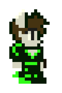 [854455] terreria character