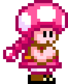 [e0d94f] Super Mario World Toads 2