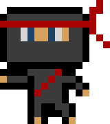 Ninja