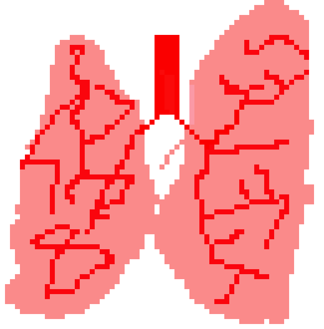 [2b4978] lungs  xavier