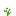 [9664c4] flower_houstonia