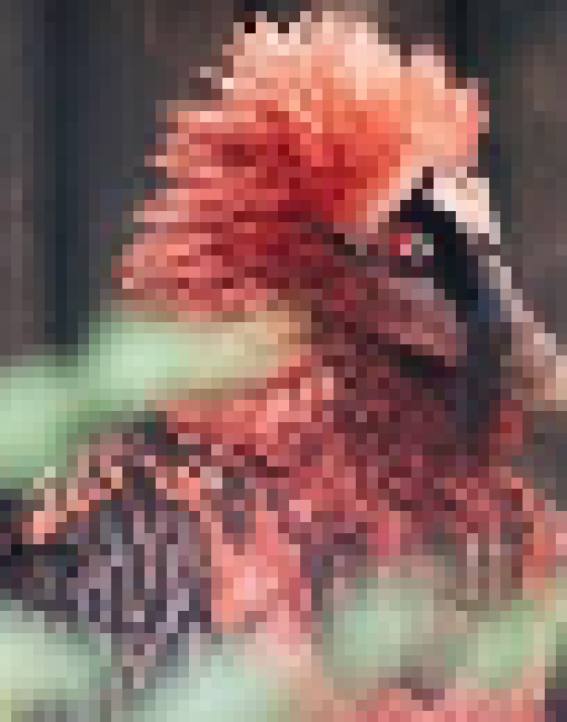 [3893eb] I am one with the beard