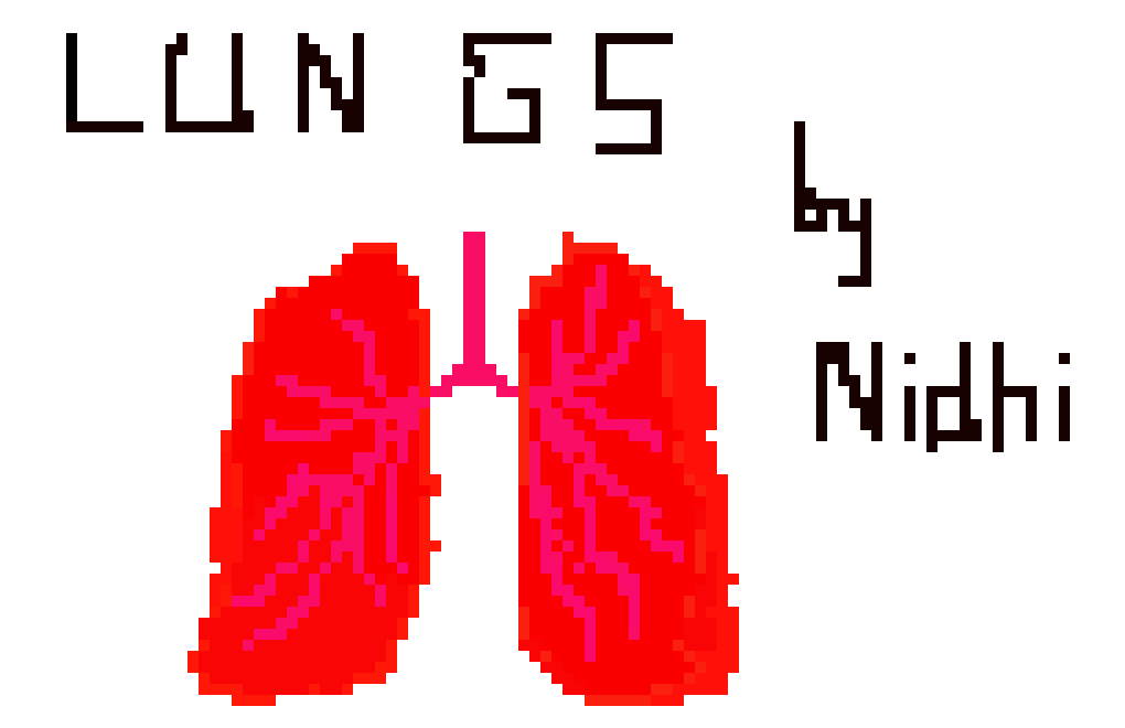 [2b4978] Lungs