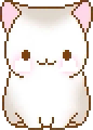 [60562c] кот