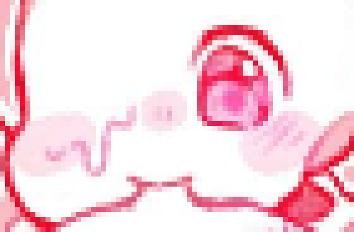 [45a4d0] The face of someone who doesn't know what sex is. -BD
