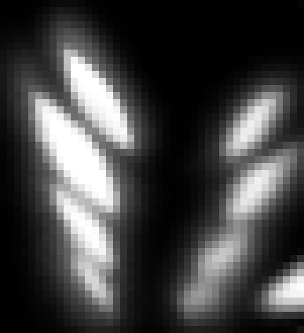 [990543] (And Thus, Project: Import all Hollow Knight Enemies into PAM was completed. At the cost of being blocked by mostly everyone, I know have expanded the PAM Archive to contain every enemy from Hollow Knight.)