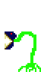 [9664c4] Plant6
