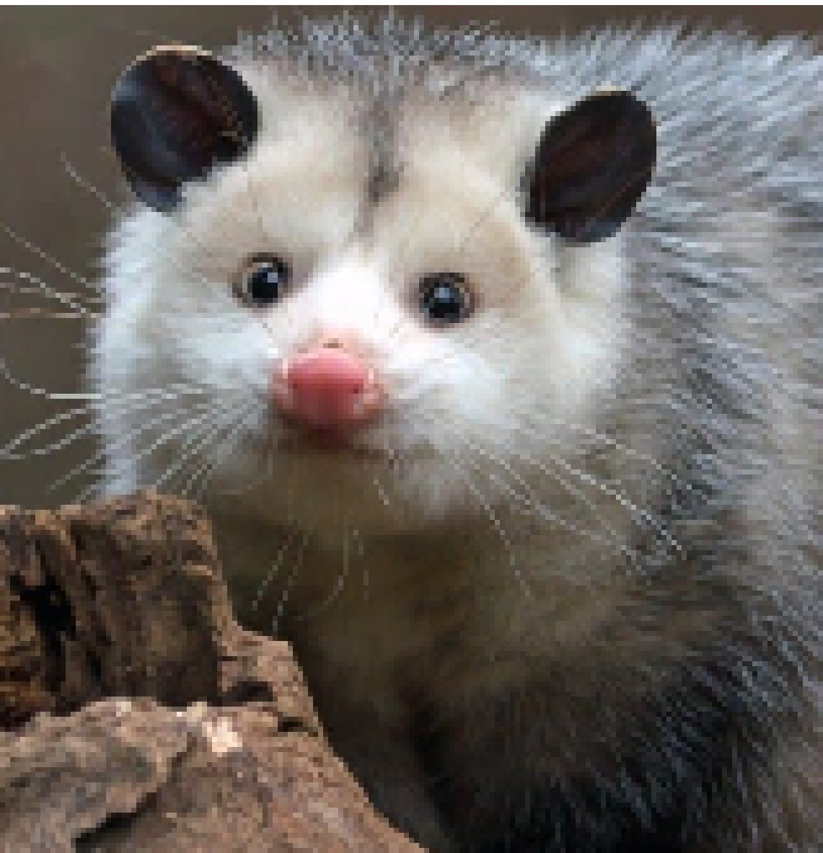 [8048ed] ok but i actually need some drawing ideas right now what the fuCK DO I DO