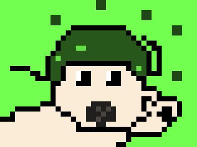 [9664c4] army pug