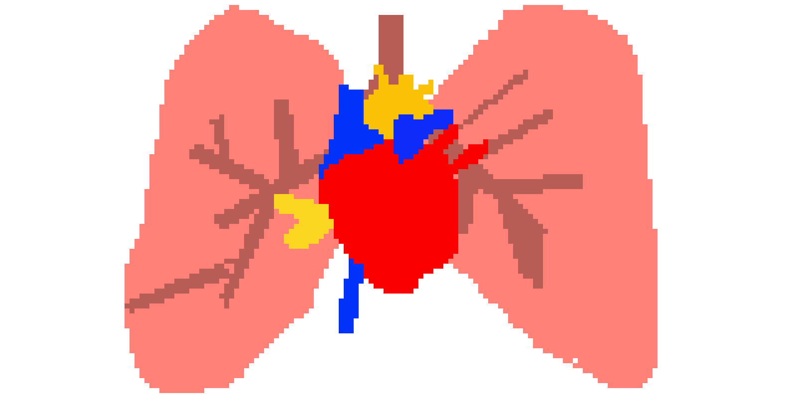 [a643a6] Lungs