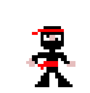 Derp-Ninja