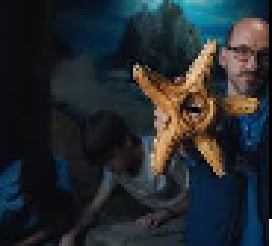 [224a35] hello xenoxx