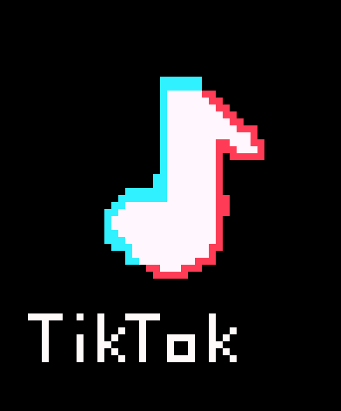 [209ee5] tiktok