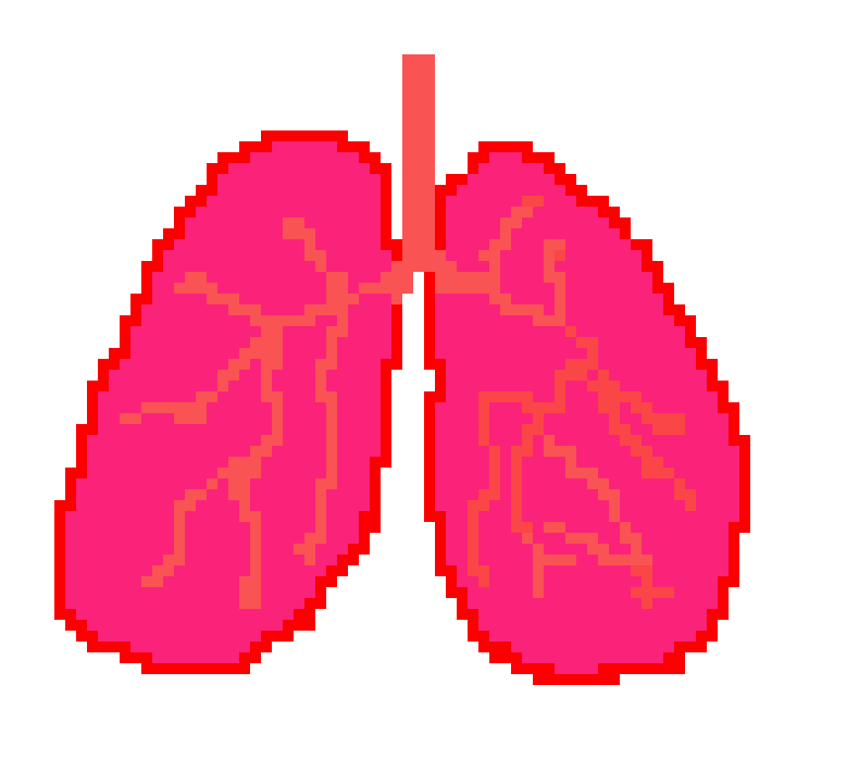 [2b4978] Nina's lungs