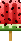 [dfdafc] Untitled