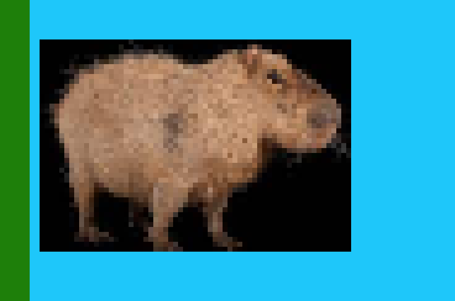 [7bf0e5] CABYBARA