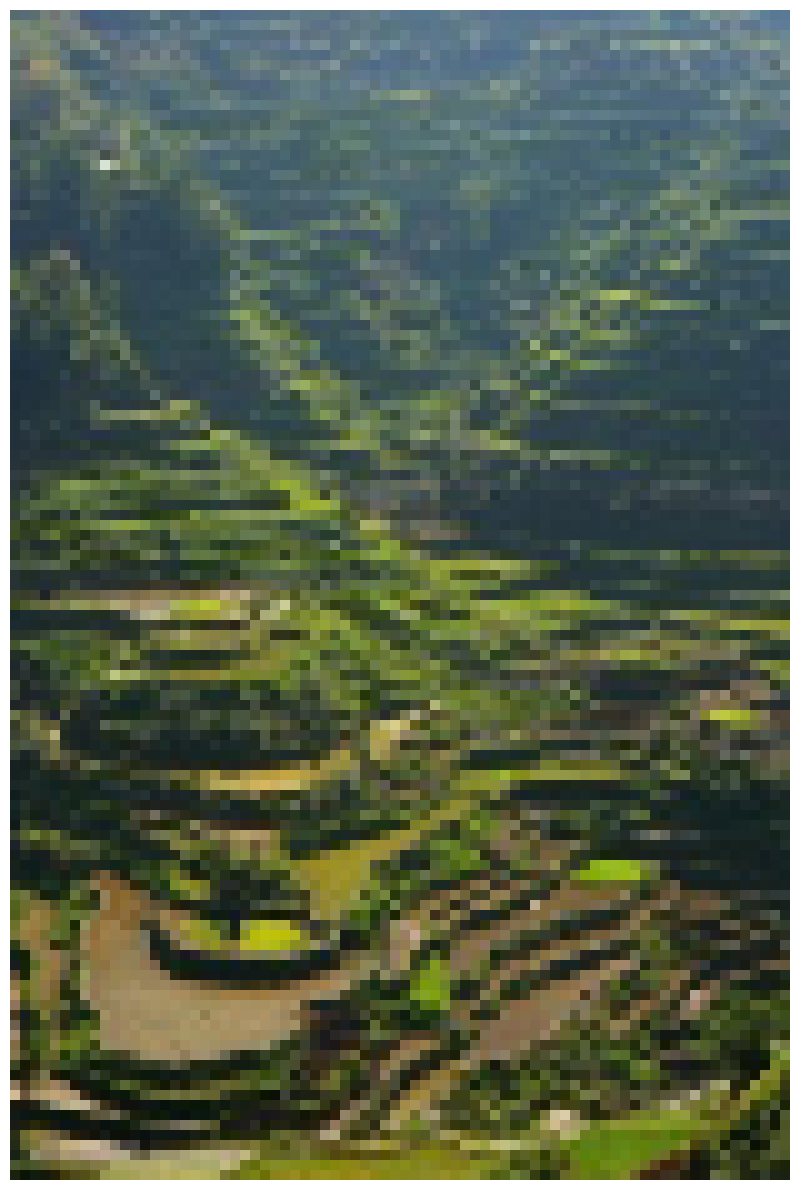 [4633f8] tera