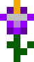[9664c4] A tulip