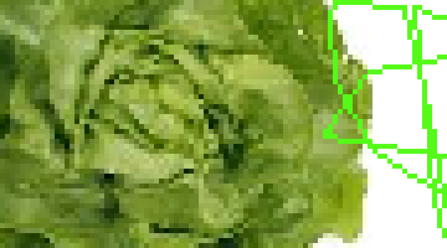 [209ee5] pppppppppppppppppppppppppppppppp