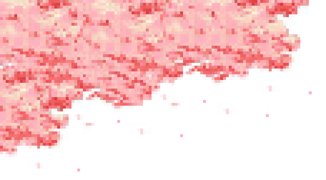 [61e3dd] Untitled