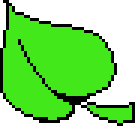 [db6672] leef