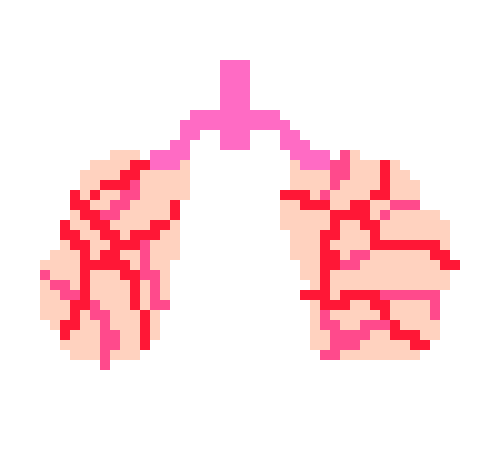 [2b4978] lungs