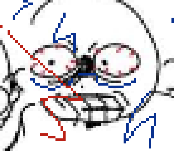 [816c09] WHEN THE FRICK ARE YOU GONNA DO IT