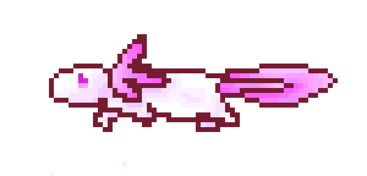 [e24d10] fresh the Axolotl
