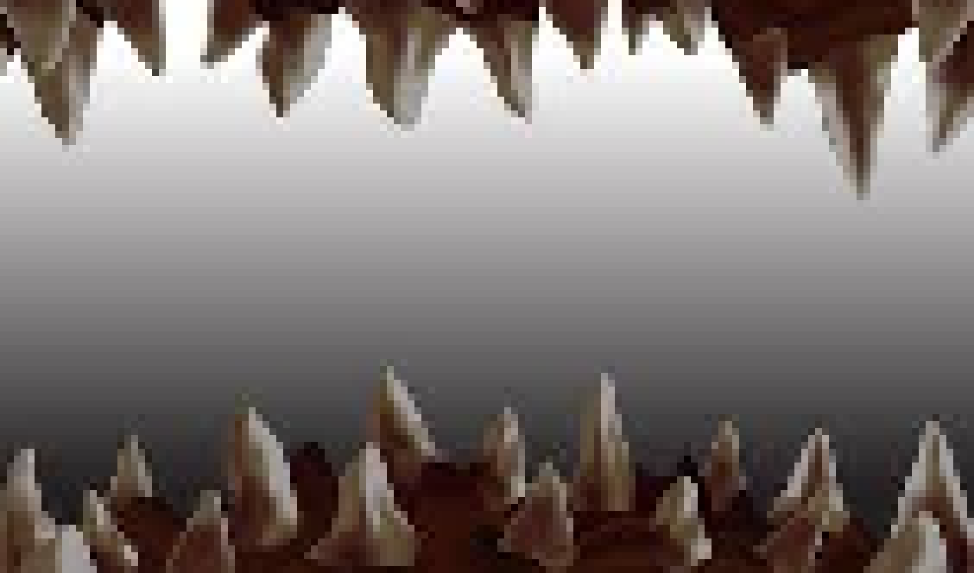 [765f63] Mouth