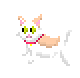 [9664c4] schrondingerCat